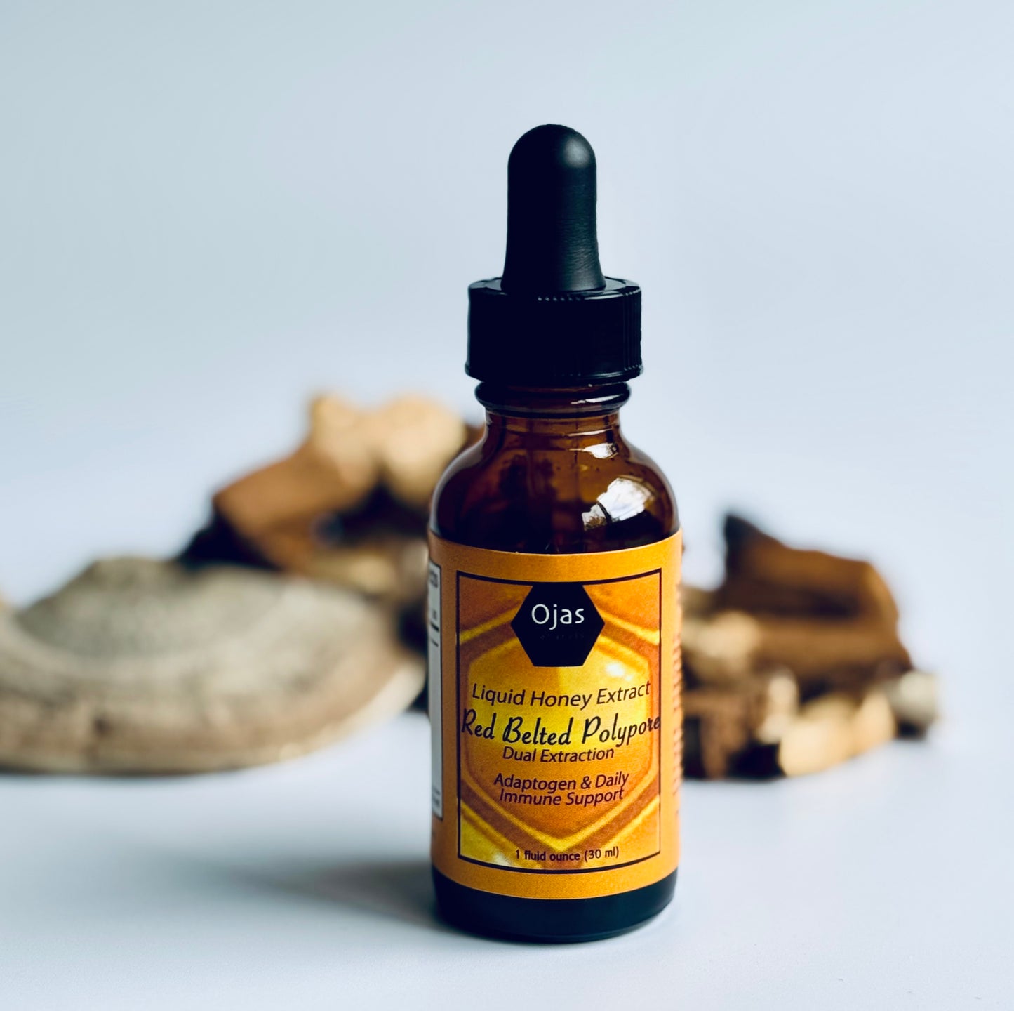 Red Belted Polypore Honey Extract "Dual Extraction"- 1oz Bottle