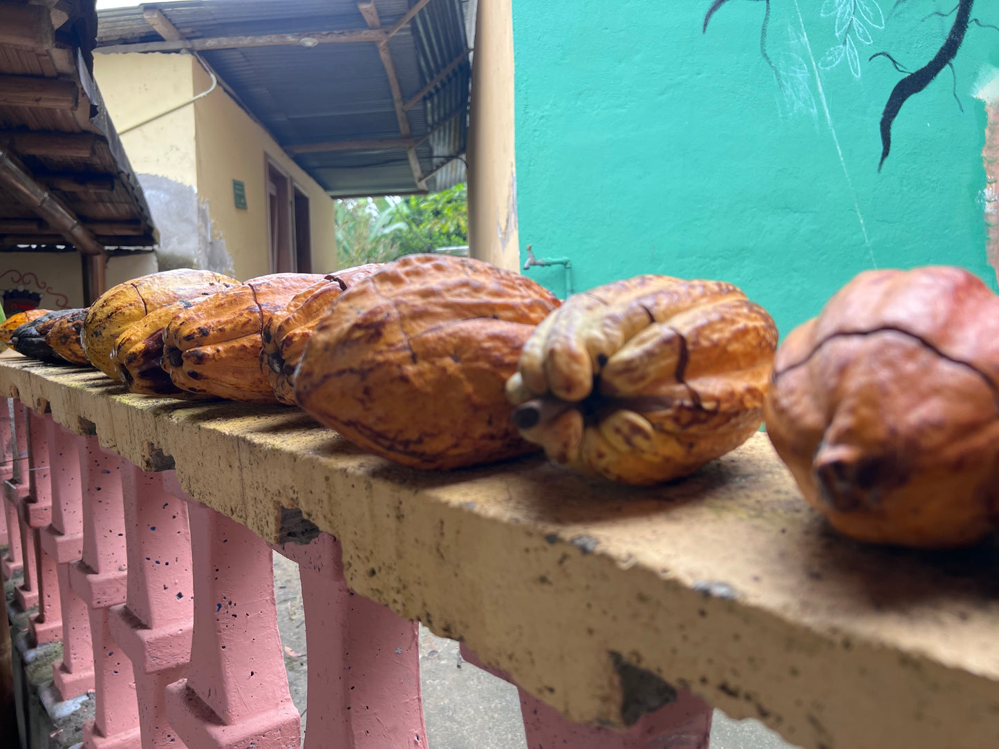 Raw  Cacao Honey Extract