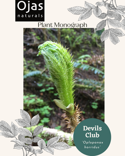 Devils Club - Plant Monograph ebook
