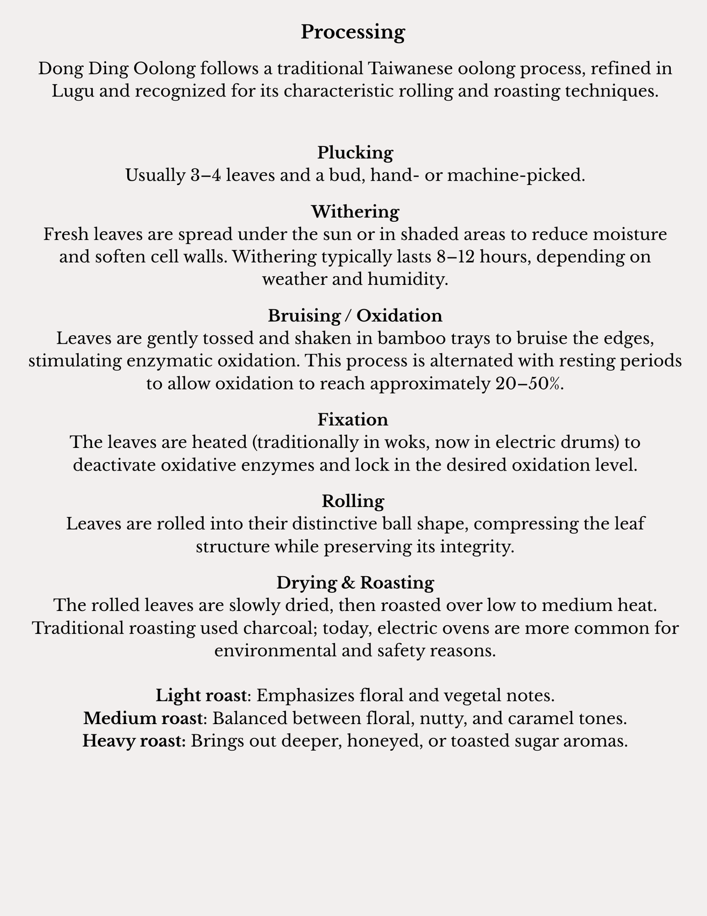 Dong Ding Oolong Monograph