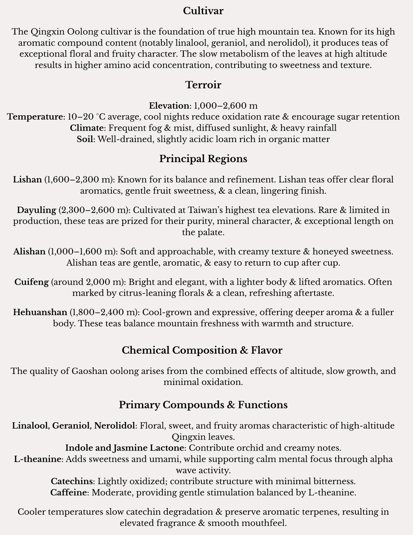 High Mountain Oolong Monograph