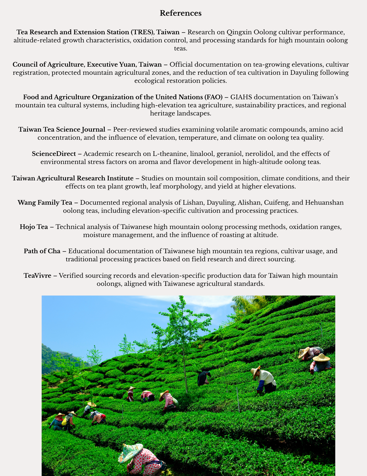 High Mountain Oolong Monograph