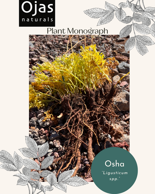 Osha - Plant Monograph ebook