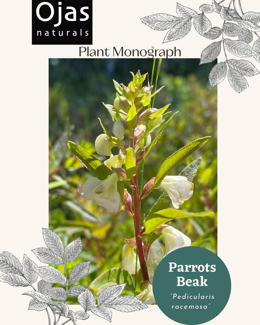 Parrots Beak - Plant Monograph ebook