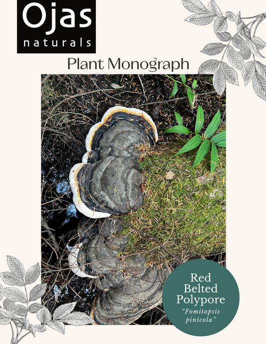 Red Belted Polypore- Plant Monograph ebook