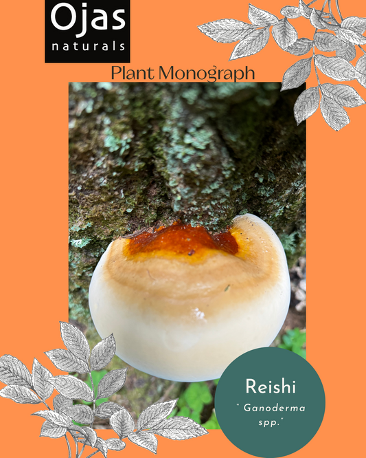 Reishi/ Artist Conk- Plant Monograph ebook