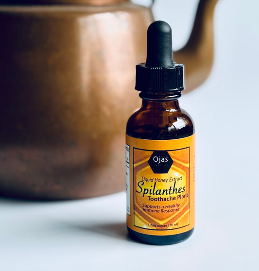 Spilanthes Honey Extract- 1oz Bottle
