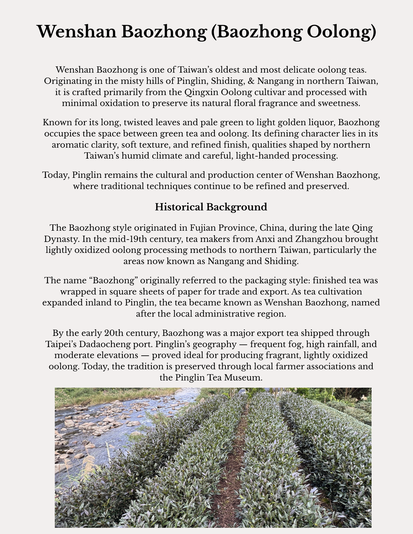 Wenshan Baozong Oolong monograph