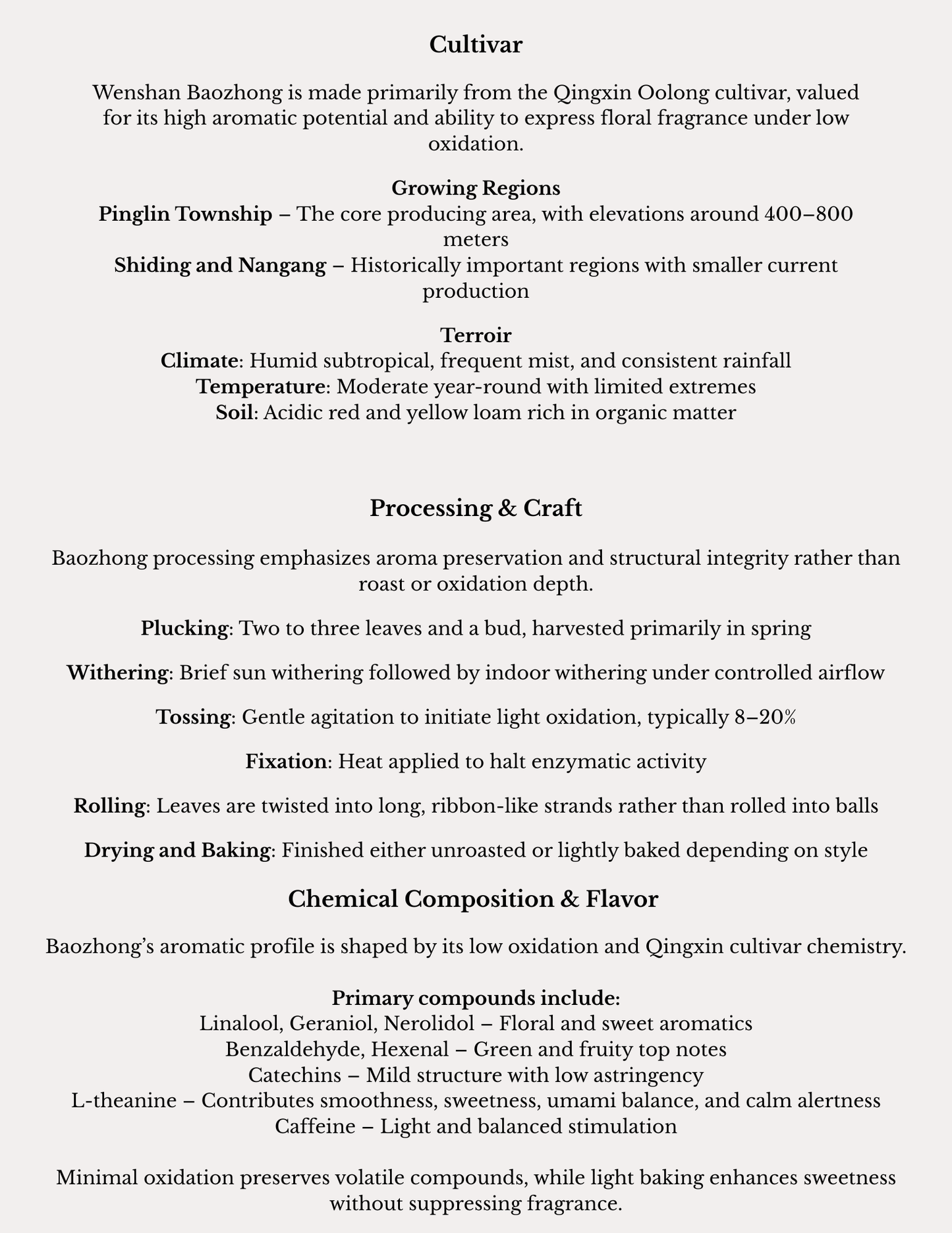 Wenshan Baozong Oolong monograph