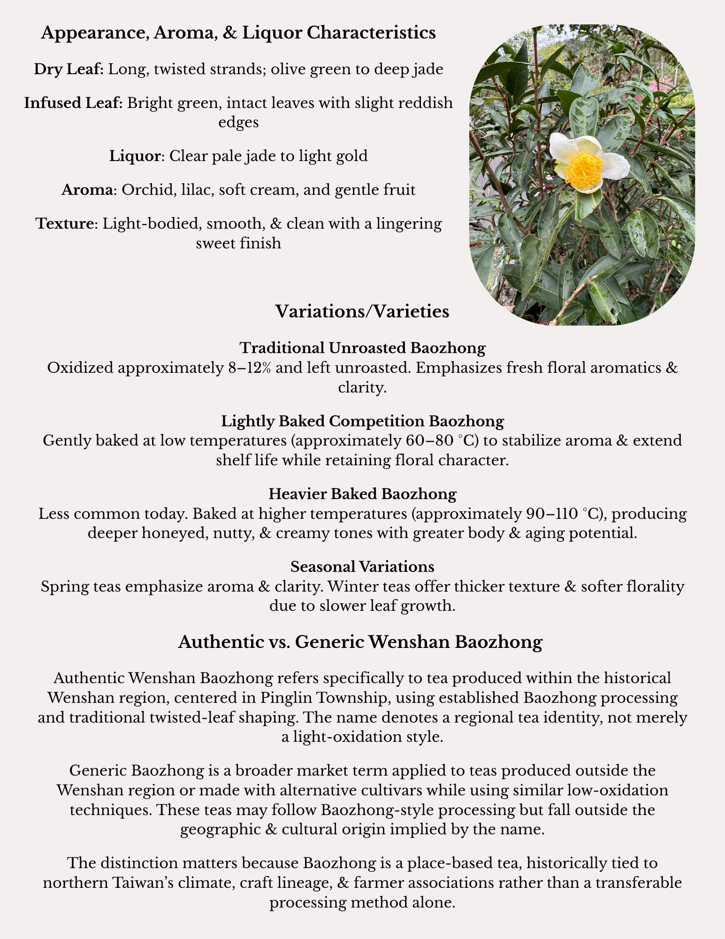 Wenshan Baozong Oolong monograph