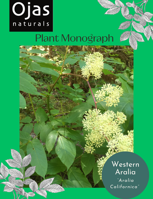 Western Aralia- Plant Monograph ebook