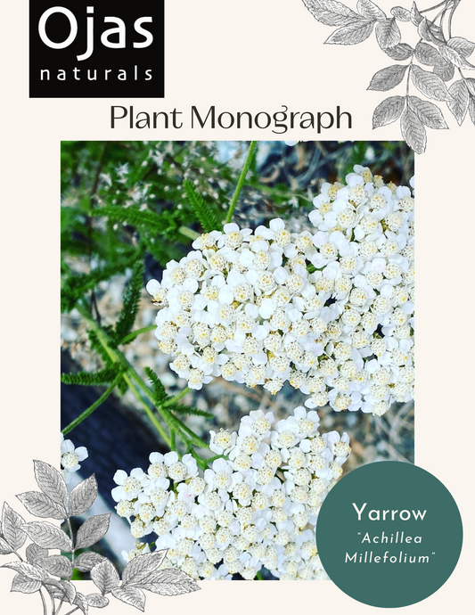 Yarrow- Plant Monograph ebook
