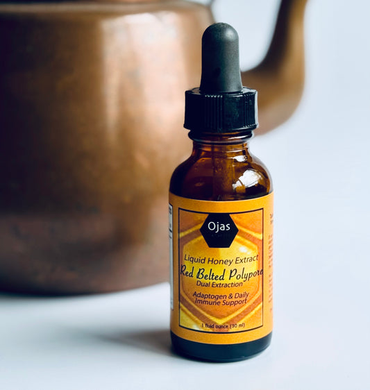 Red Belted Polypore Honey Extract "Dual Extraction"- 1oz Bottle